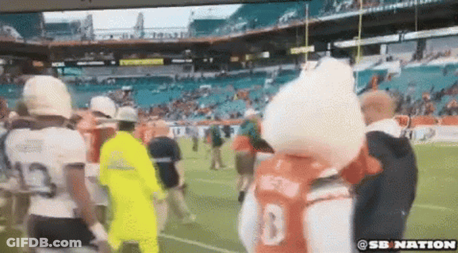 Miami Hurricanes Mascot Joins The Crowd GIF