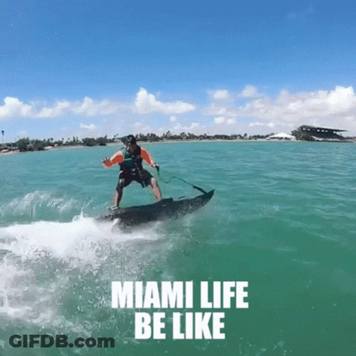 Miami Man In Orange Is Surfing GIF