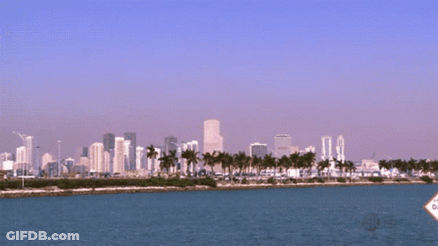 Miami Ocean View GIF