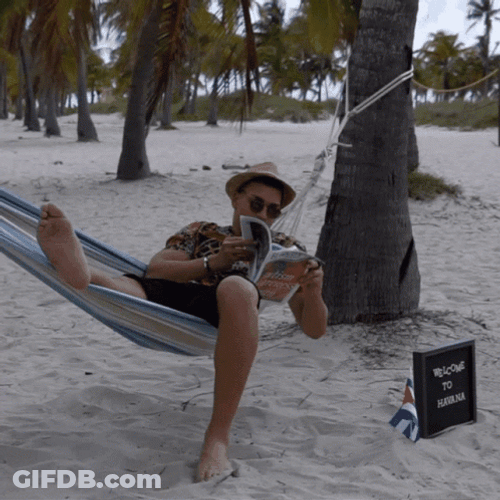 Miami The Complete Guide Moving Guide To Florida GIF