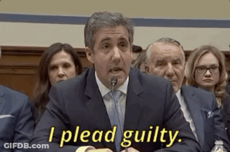 Michael Cohen I Plead Guilty GIF