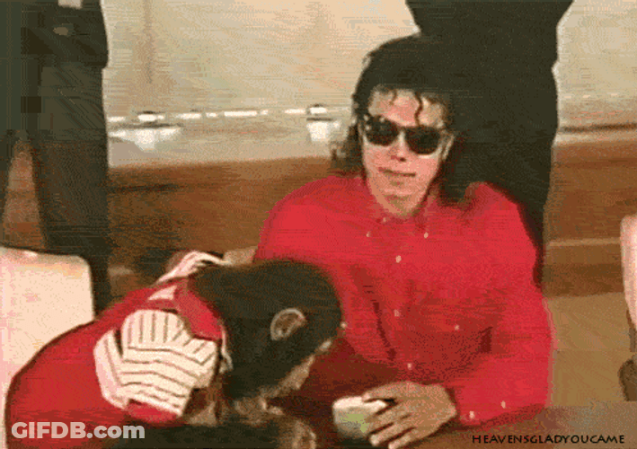 Michael Jackson Monkey Sips Tea GIF