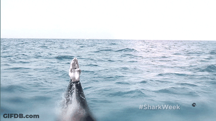 Michael Phelps Emerging From Underwater GIF