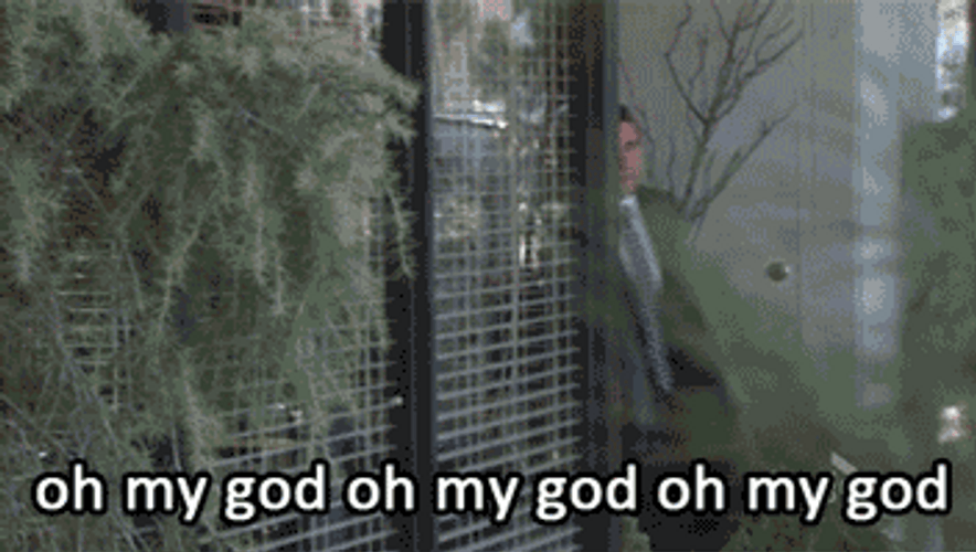 Michael Scott Dwight Oh My God GIF
