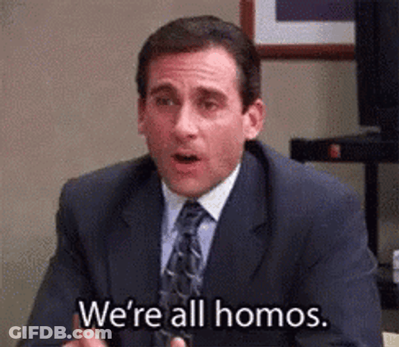 Michael Scott Gay Meme GIF