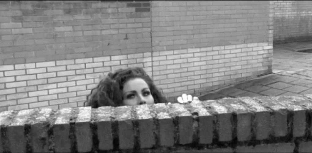 Michella Kox Investigation GIF