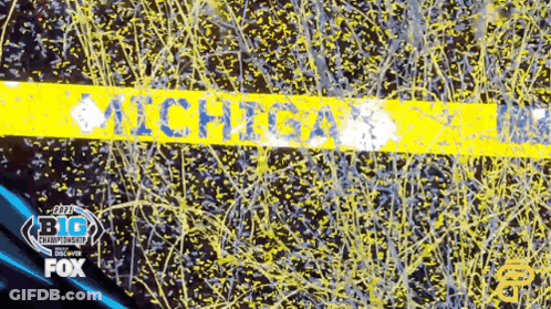 Michigan Banner GIF