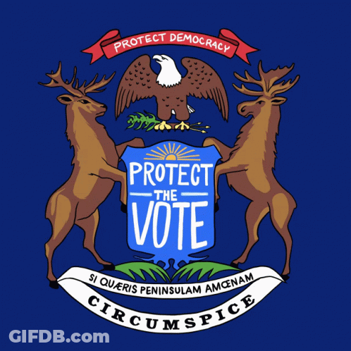Michigan Coat Of Arms Saying Protect The Vote GIF