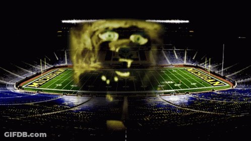 Michigan Football Field GIF