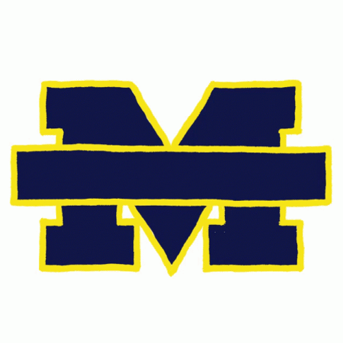 Michigan Football Go Blue Go Vote GIF