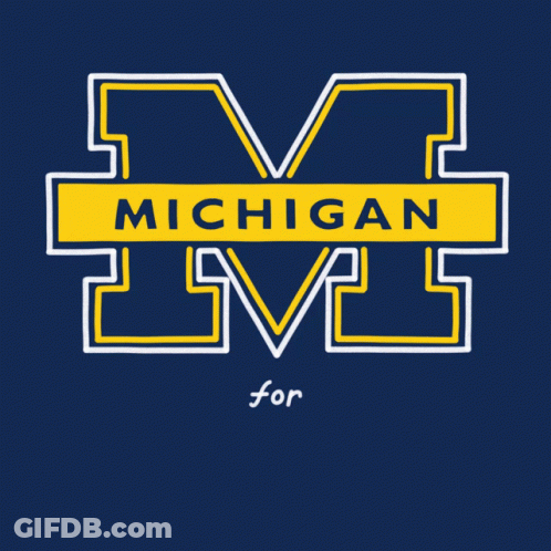 Michigan For Voting Rights Logo Blue Background GIF