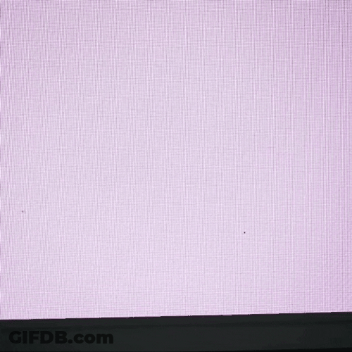 Michigan State Player Just Saying Hi GIF