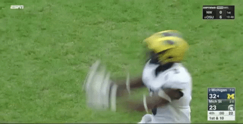 Michigan Wolverines Backflip GIF