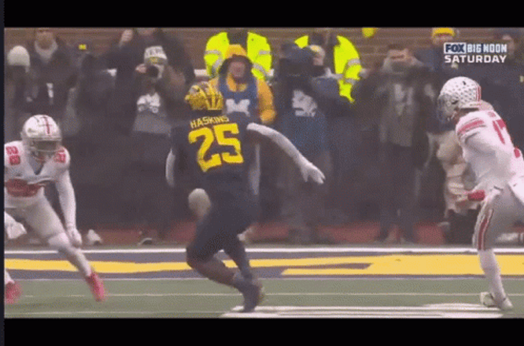 Michigan Wolverines Chaotic Game GIF