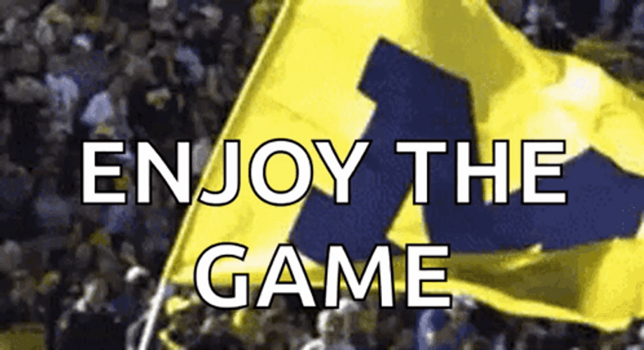 Michigan Wolverines Enjoy The Game GIF