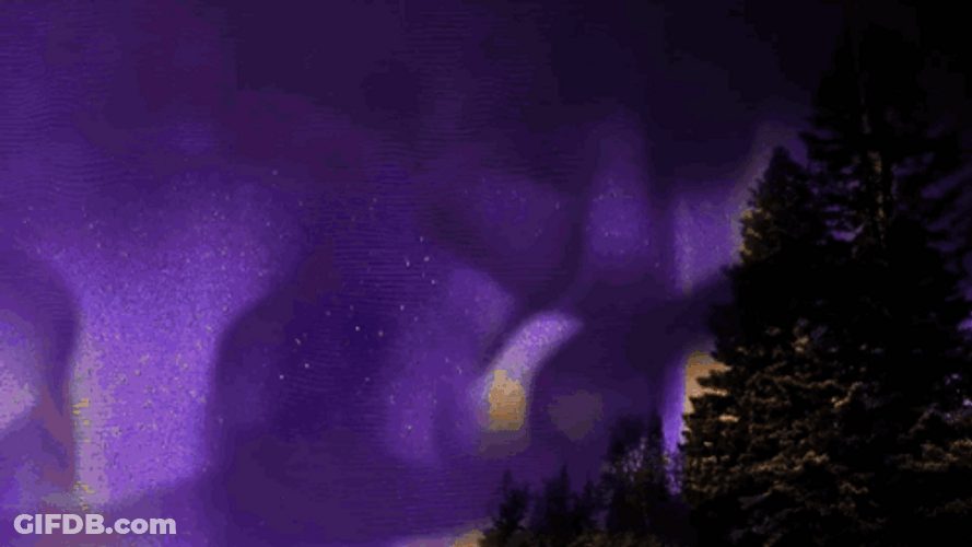Michigan Wolverines Jj Mccarthy GIF