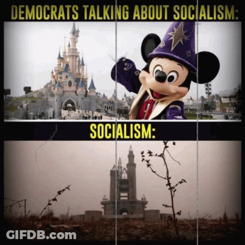 Mickey Mouse And Castle Democrats Talking About Socialism GIF