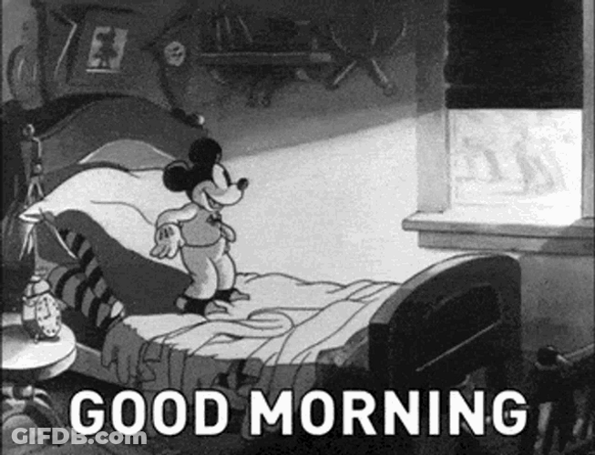 Mickey Mouse And Pluto Good Morning Cartoon GIF