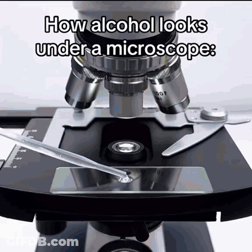 Microscope How Alcohol Looks Under A Microscope GIF
