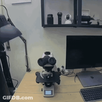Microscope On Desk In Front Of Computer Monitor GIF