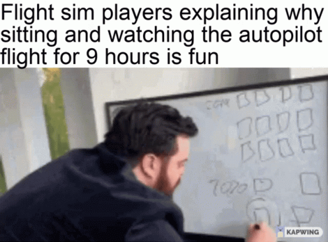 Microsoft Flight Simulator Fun Autopilot GIF