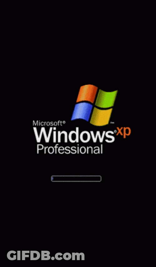 Microsoft Windows Professional XP GIF