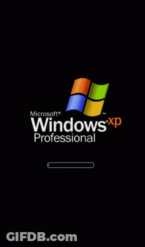 Microsoft Windows XP Professional Loading Screen GIF