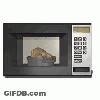 Microwave With Bowl Of Food GIF