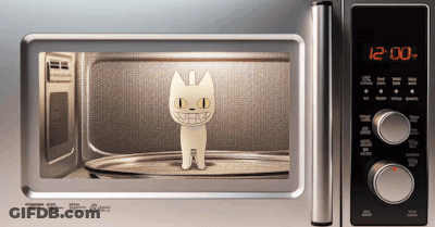 Microwave With Cat Inside Time 12:00 GIF