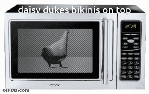 Microwave With Daisy Dukes Bikinis On Top GIF