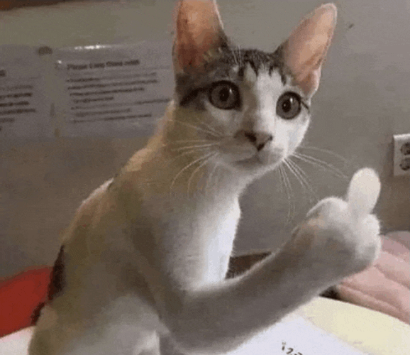 Midcar Meme GIF