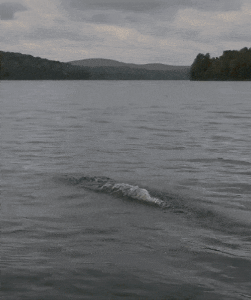 Middle Finger Flip Off GIF