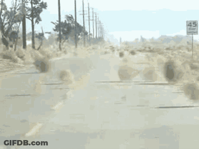 Middle Of Nowhere GIF