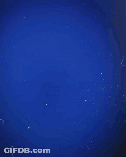 Miha Zajc Goal GIF