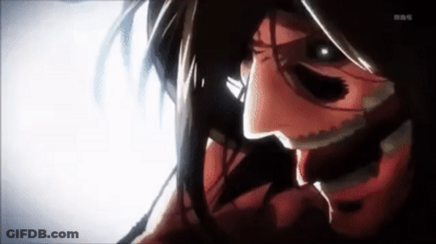 Mikasa Ackerman Fighting GIF
