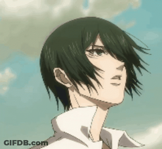 Mikasa Ackerman Thinking Back GIF