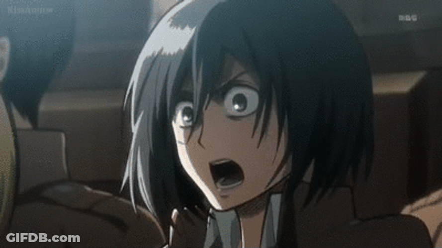 Mikasa Angry When Stopped GIF