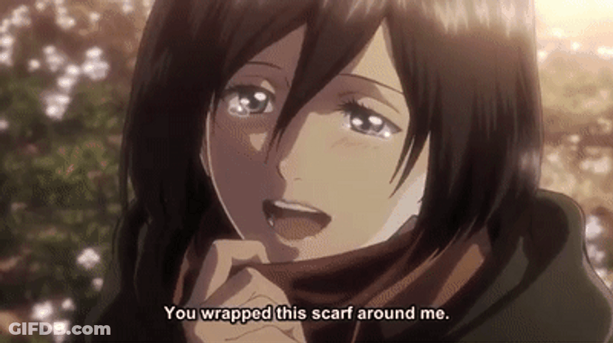 Mikasa Attack On Titan Thank You GIF