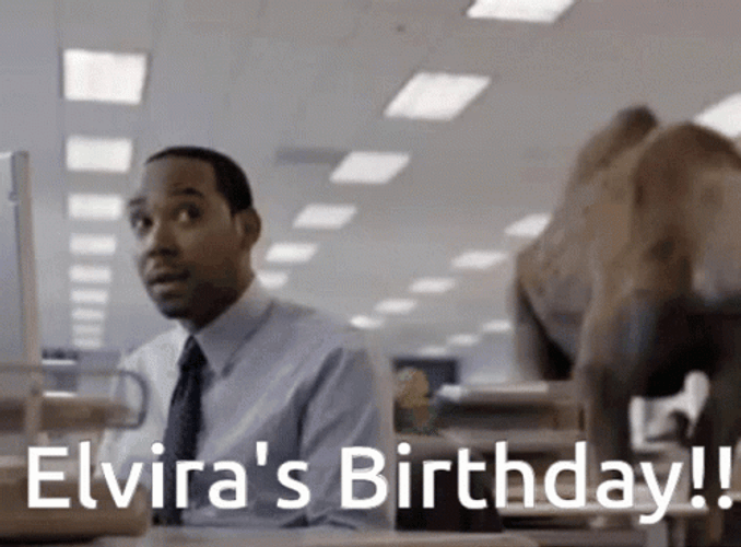 Mike Mike Mike Camel Elvira's Birthday GIF
