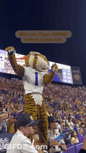Mike The Tiger Hyped Before Game End With Mascot GIF