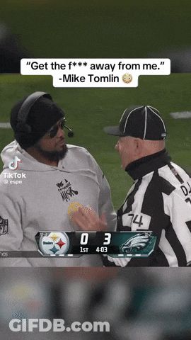 Mike Tomlin Talks To Referee On Field GIF