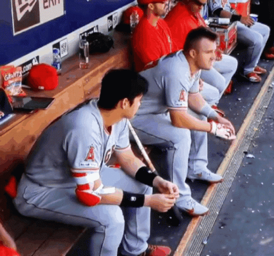 Mike Trout And Shohei Ohtani GIF