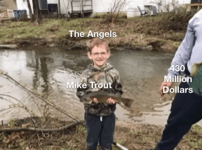 Mike Trout Million Dollars Meme GIF