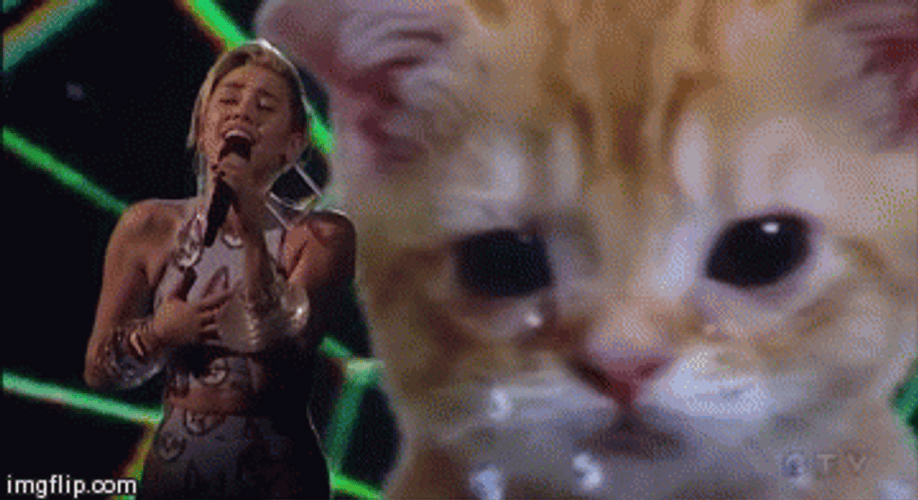 Miley Cyrus Singing Cat Crying Meme GIF