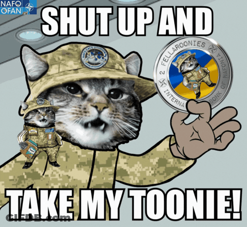 Military Cat Holding Coin Saying 2 Fellaronies GIF