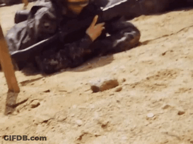 Military Crawling GIF