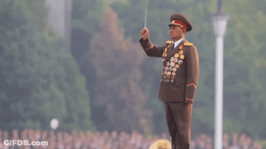 Military In North Korea GIF
