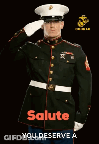 Military Man Saluting Saying Salute You Deserve A GIF