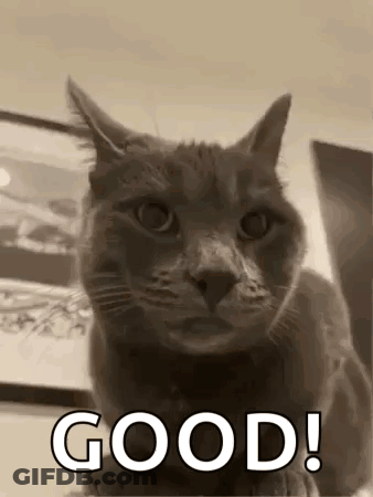 Military Man Saying Happy Birthday Dear Alessio To Soldiers GIF