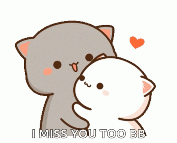 Milk And Mocha Cat Kiss Miss You Too GIF